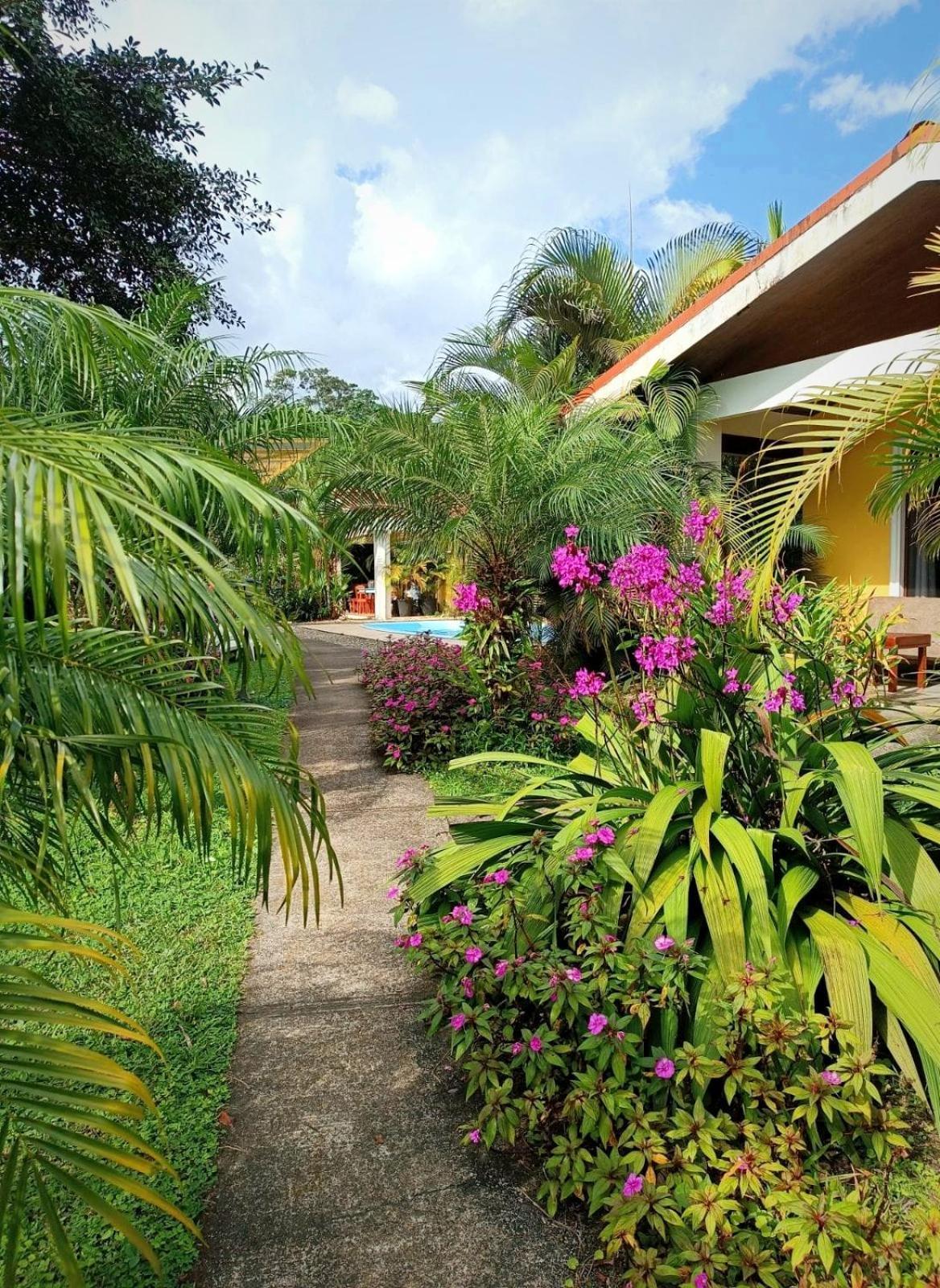 Arenal Villas Tranquilas, Free-Standing Equipped Houses Nuevo Arenal Kültér fotó