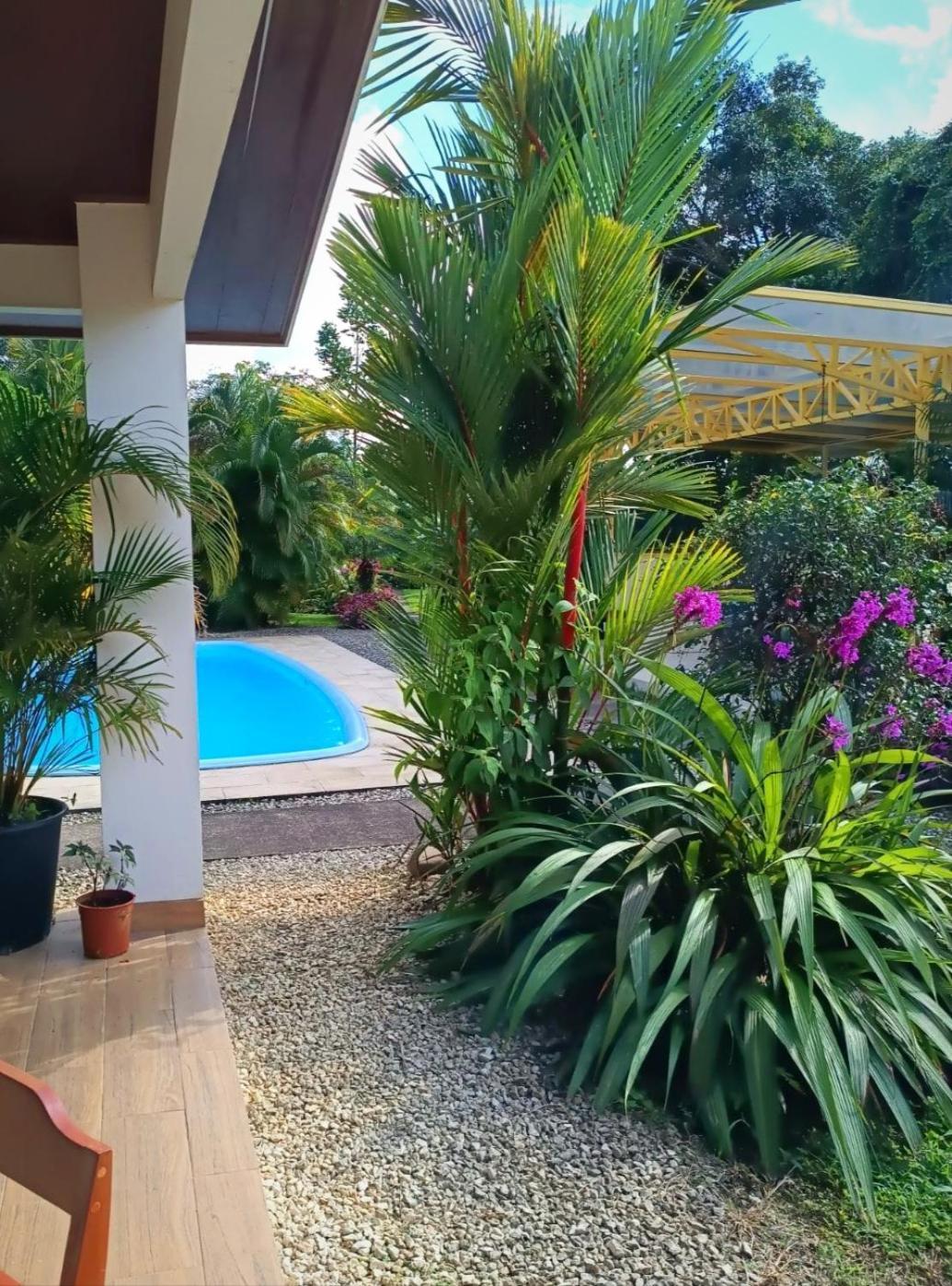 Arenal Villas Tranquilas, Free-Standing Equipped Houses Nuevo Arenal Kültér fotó